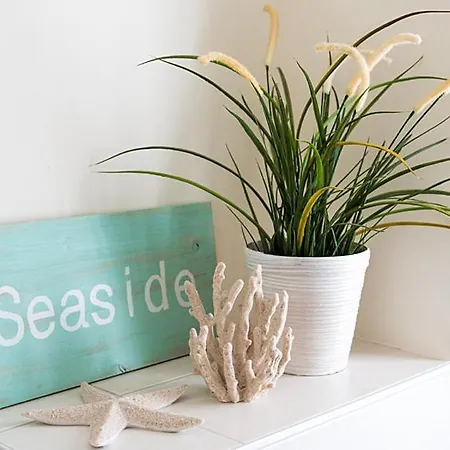 Beach Home *