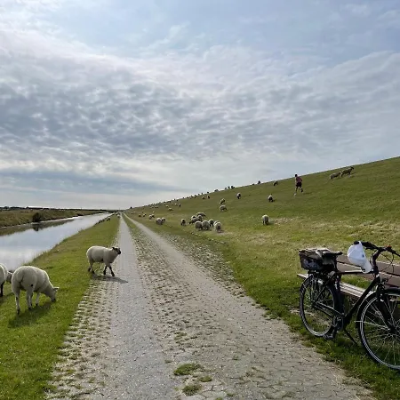 Beach Home Apartament Sankt Peter-Ording