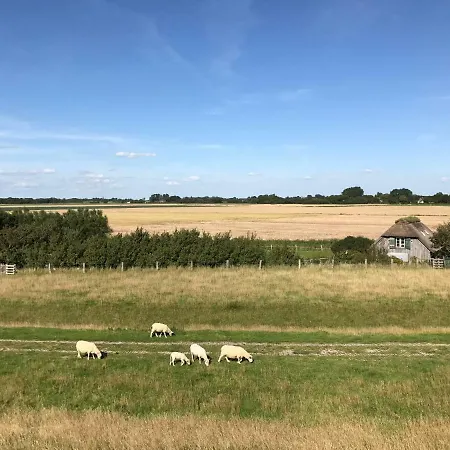 Beach Home Sankt Peter-Ording