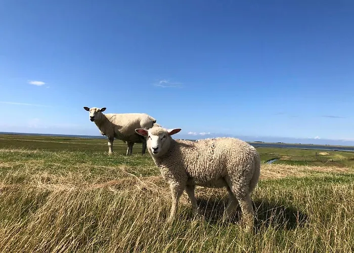 Beach Home Lejlighed *