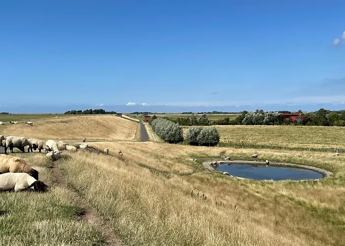 Lejlighed Beach Home *