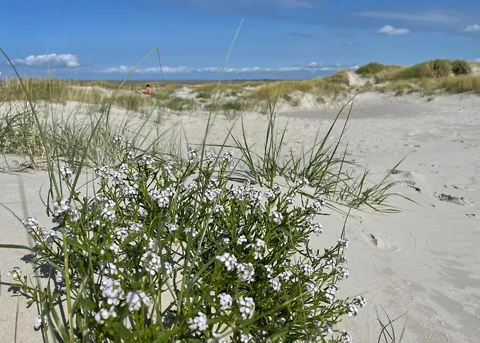 Lejlighed Beach Home