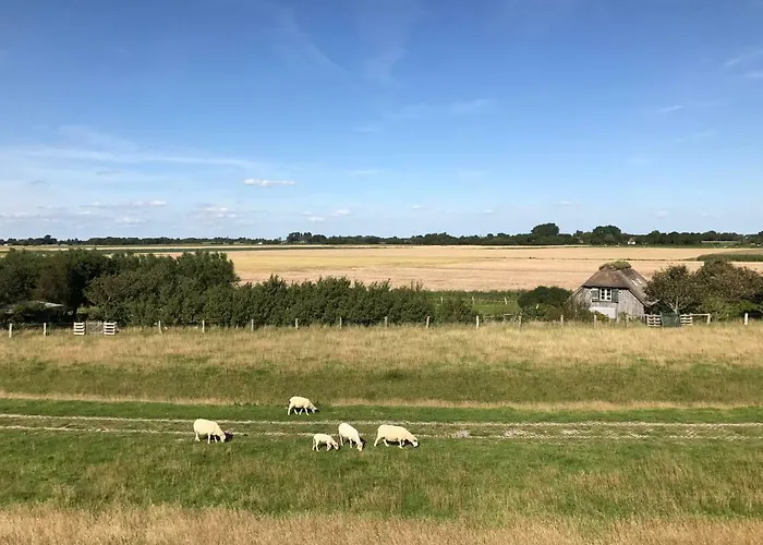 Beach Home Sankt Peter-Ording